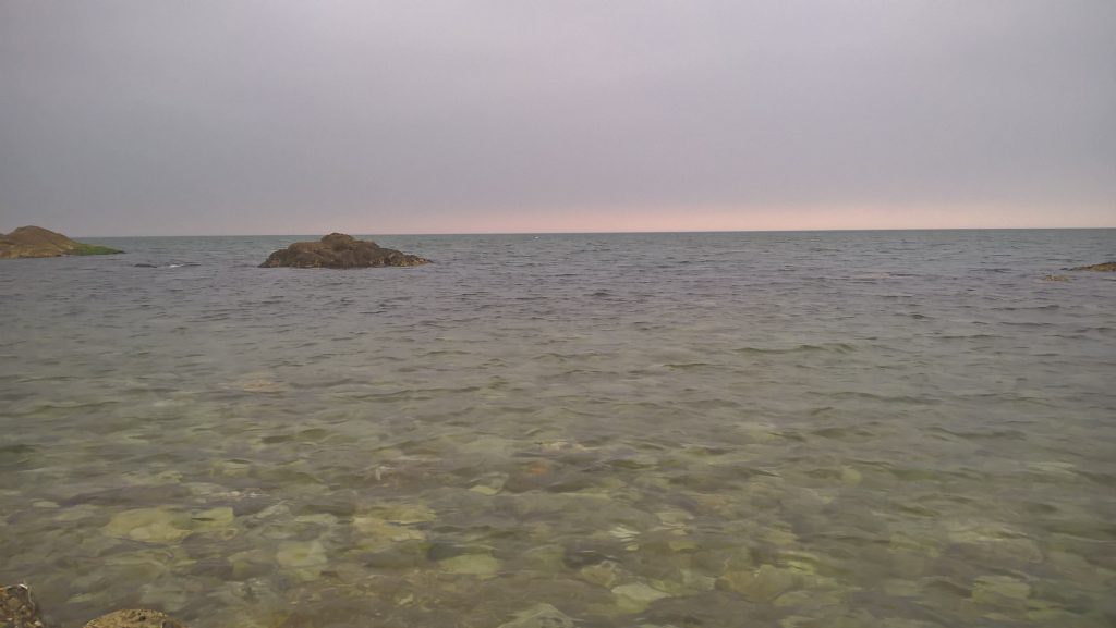 WP_20160505_12_38_13_Pro